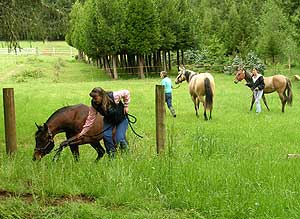 Trail Clinic