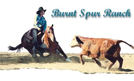 Burnt Spur Ranch Logo