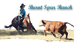 Burnt Spur Ranch Logo